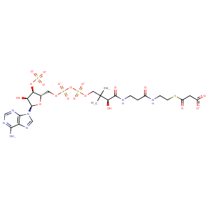 2e1t_1 Structure