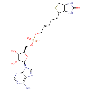 2e41_1 Structure