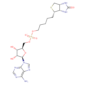 2ewn_1 Structure