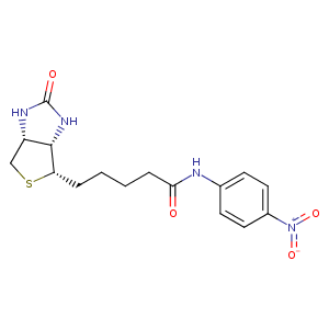 2fhn_2 Structure