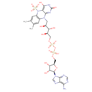 2fjb_1 Structure