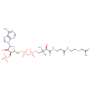 2fy5_1 Structure