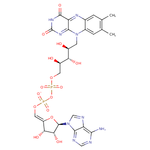 2fzm_1 Structure