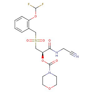 2g7y_1 Structure