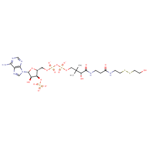 2ges_1 Structure