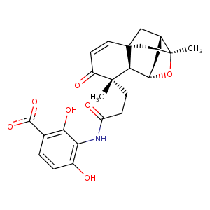 2gfx_1 Structure