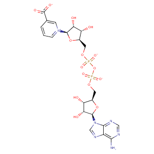 2h29_1 Structure