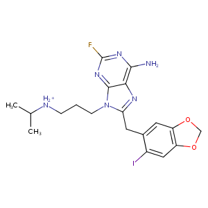 2h55_1 Structure