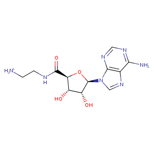 2hch_1 Structure