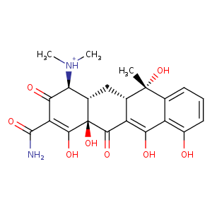 2hdn_1 Structure