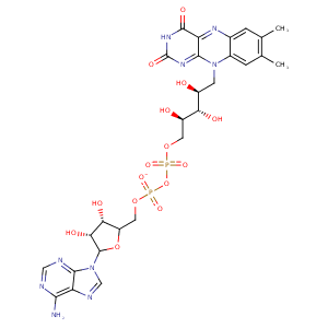 2ign_5 Structure