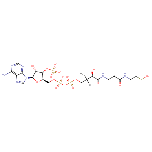 2ii3_5 Structure