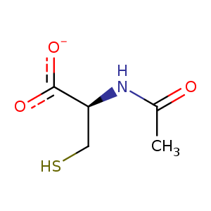 2j2p_11 Structure