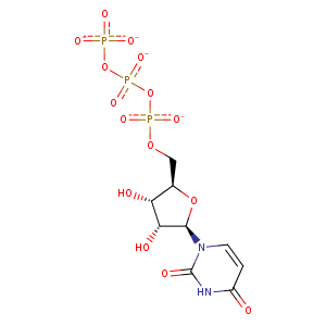 2j4l_6 Structure
