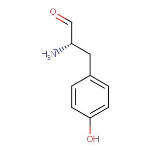 2j5b_2 Structure