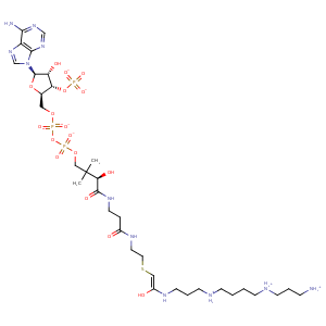 2jev_2 Structure