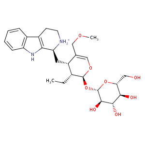 2jf6_2 Structure