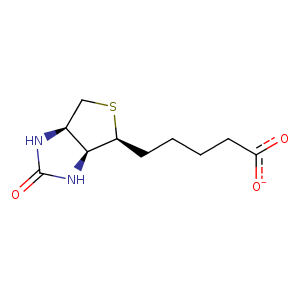 2jgs_3 Structure