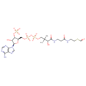 2ji8_2 Structure