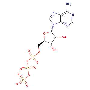 2jjx_1 Structure