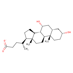 2jn3_1 Structure