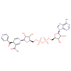 2nq8_1 Structure