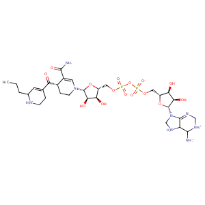 2ntj_2 Structure