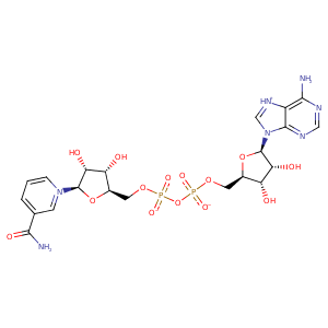 2o2z_3 Structure