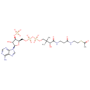 2ob0_3 Structure