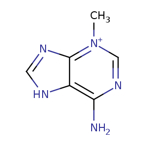 2ofi_1 Structure