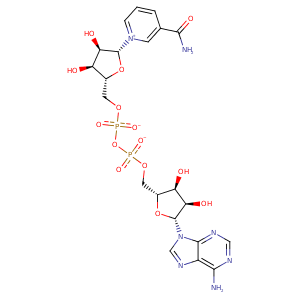 2oo5_2 Structure