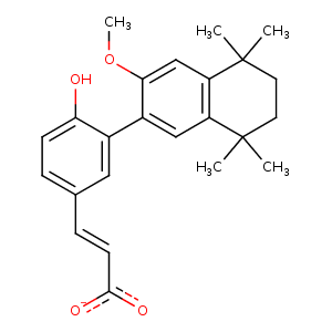 2p1t_1 Structure