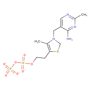 2pan_3 Structure