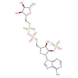 2pk3_1 Structure