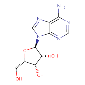 2pkm_1 Structure