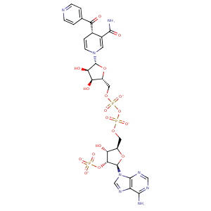 2pr2_1 Structure