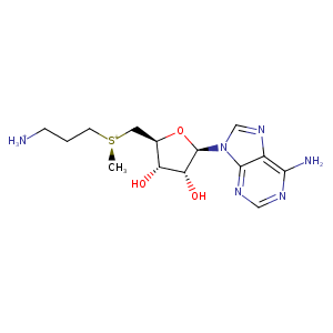 2pt6_1 Structure