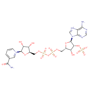 2q4b_2 Structure