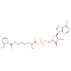 2q7h_1 Structure