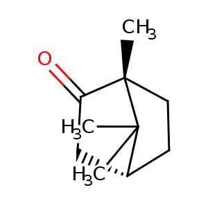 2qbn_1 Structure