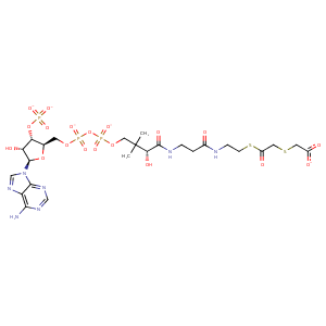 2r0n_1 Structure