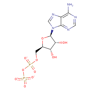 2r4t_1 Structure