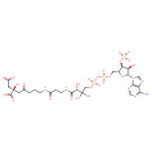 2r9e_3 Structure