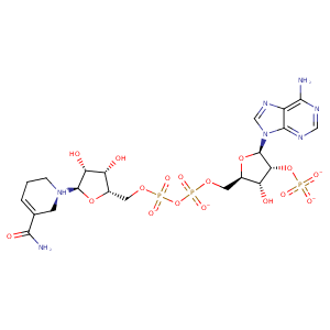 2rc6_2 Structure