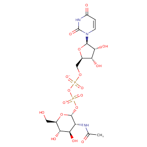 2rl1_1 Structure