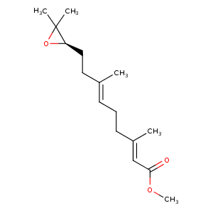 2rqf_1 Structure