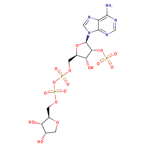 2uyy_1 Structure