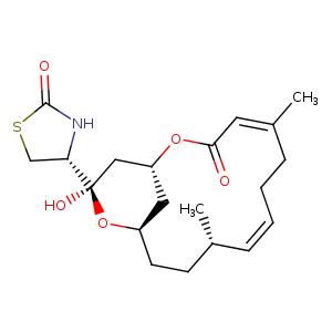 2v51_2 Structure