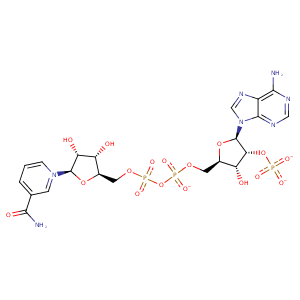 2v6g_1 Structure