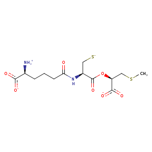 2vbd_1 Structure